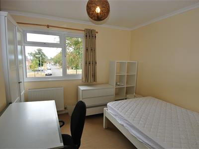 Picture 14